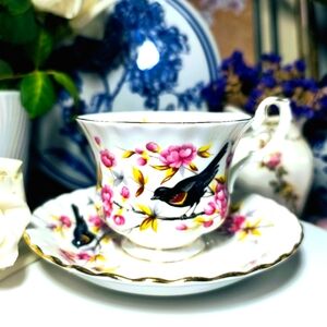 Rare,Royal Albert black bird "Redwing" Bird - Woodland Series Teacup made in ENG